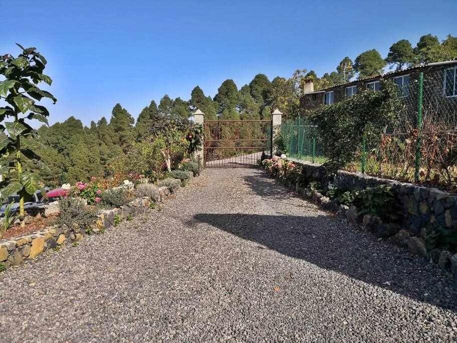 Finca Los Tamarillos Santa Cruz de Tenerife Exterior photo